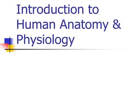 Introduction to Human Anatomy & Physiology. Anatomical Terms Anatomy Physiology Pathology Embryology Histology Cytology Homeostasis.