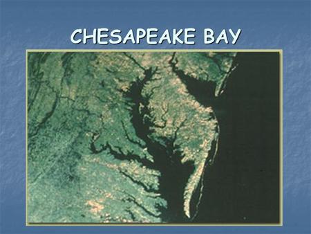 CHESAPEAKE BAY. Chesapeake as an Estuary An estuary is a semi-enclosed body of water that has a free connection with the sea An estuary is a semi-enclosed.