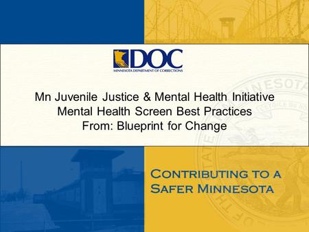 Mn Juvenile Justice & Mental Health Initiative Mental Health Screen Best Practices From: Blueprint for Change.
