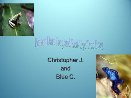 Christopher J. and Blue C.