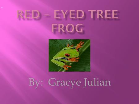 By: Gracye Julian -. Red eye tree frogs have red eyes. Red eye tree frogs have white skin under there chin. Red eye tree frogs have purple skin on there.