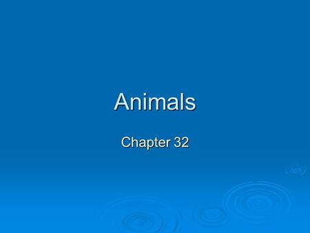 Animals Chapter 32.