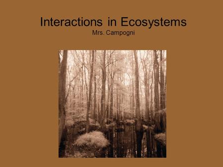 Interactions in Ecosystems Mrs. Campogni