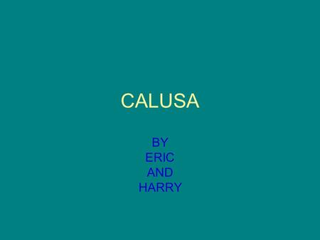 CALUSA BY ERIC AND HARRY.