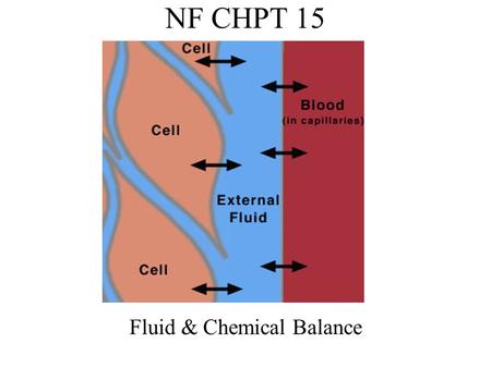 Fluid & Chemical Balance