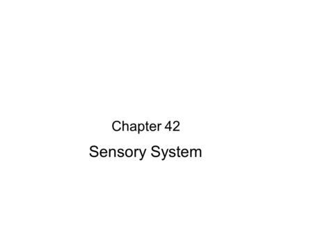Chapter 42 Sensory System.