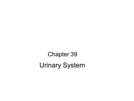 Chapter 39 Urinary System.