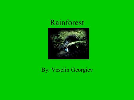Rainforest By: Veselin Georgiev What is the rainforest? Tropical rainforests are complex ecosystems, which are made up of four distinct environments.