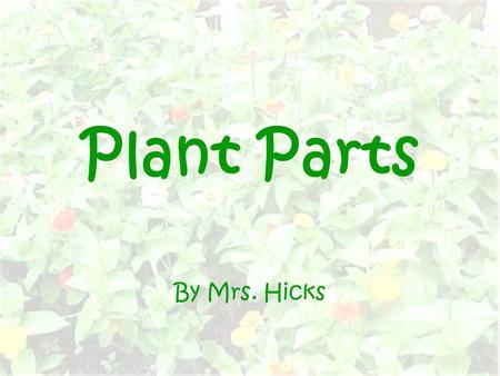 Plant Parts By Mrs. Hicks.