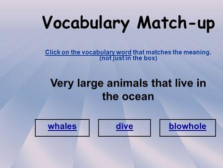 Vocabulary Match-up Click on the vocabulary word that matches the meaning. (not just in the box) Very large animals that live in the ocean whales diveblowhole.