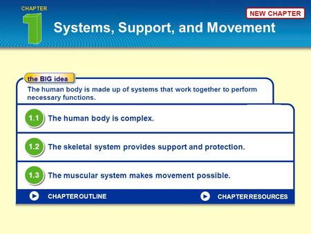 Systems, Support, and Movement