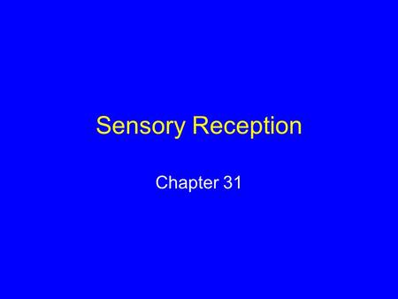 Sensory Reception Chapter 31.