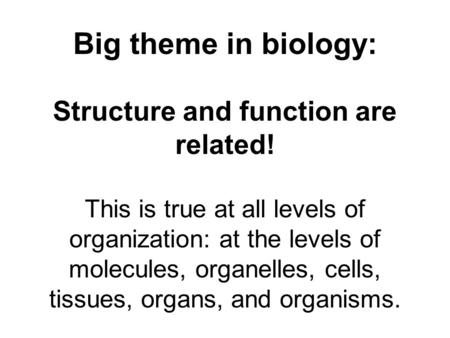 Structure and function are related!