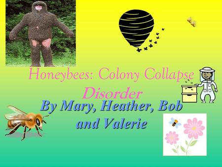 Honeybees: Colony Collapse Disorder By Mary, Heather, Bob and Valerie.
