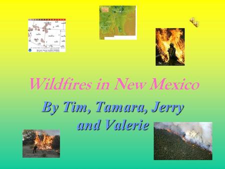 Wildfires in New Mexico By Tim, Tamara, Jerry and Valerie.