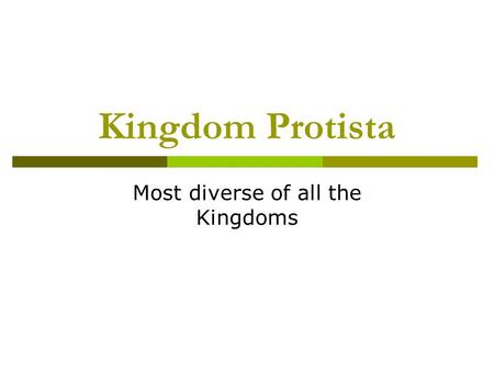 Most diverse of all the Kingdoms