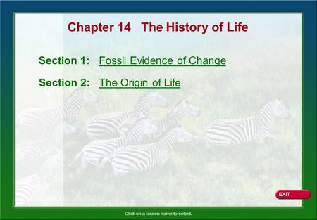 Chapter 14 The History of Life