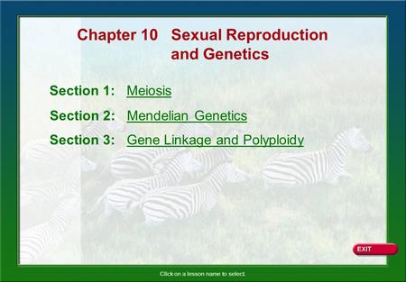 Chapter 10 Sexual Reproduction
