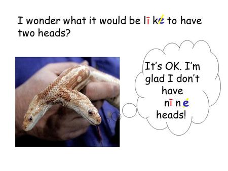 I wonder what it would be l k to have two heads? e/ ī Its OK. Im glad I dont have n heads! ī / e.