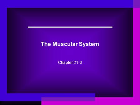 The Muscular System Chapter 21-3.