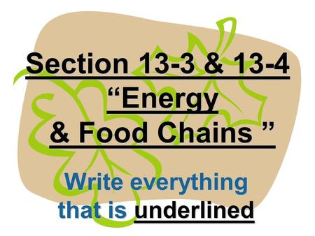 Section 13-3 & 13-4 “Energy & Food Chains ”