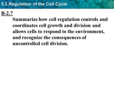 B-2.7 Summarize how cell regulation controls and 	coordinates cell growth and division 	and 	allows cells to respond to the environment, 	and recognize.