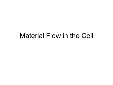 Material Flow in the Cell