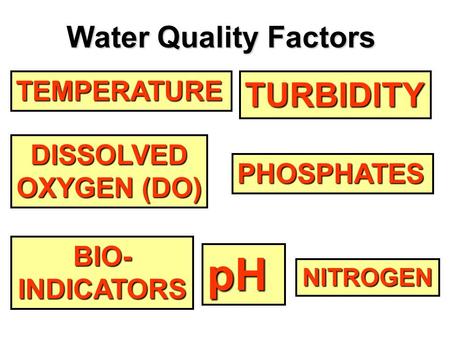pH TURBIDITY Water Quality Factors TEMPERATURE DISSOLVED OXYGEN (DO)
