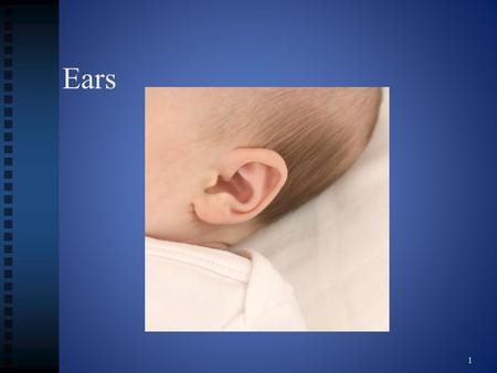 Ears 1.