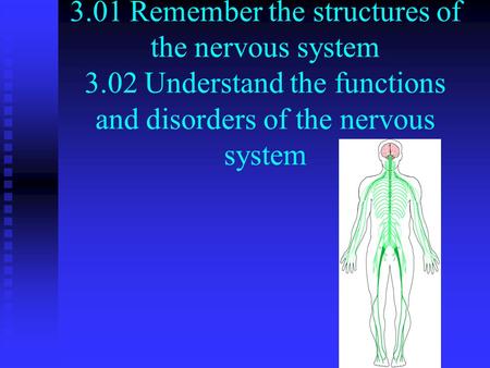 3. 01 Remember the structures of the nervous system 3