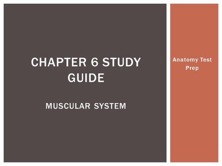 CHAPTER 6 STUDY GUIDE MUSCULAR SYSTEM