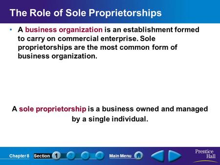 The Role of Sole Proprietorships