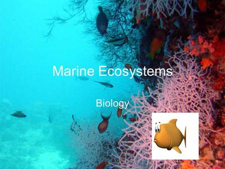Marine Ecosystems Biology.