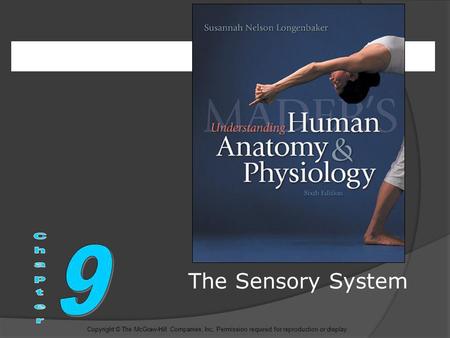 The Sensory System 9 Chapter