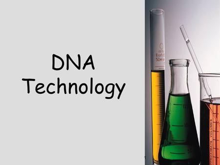 1 DNA Technology. 2 DNA Extraction Chemical treatmentsChemical treatments cause cells and nuclei to burst stickyThe DNA is inherently sticky, and can.