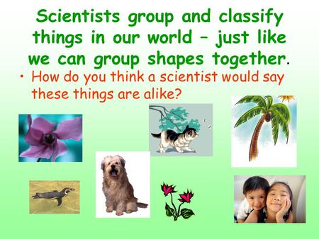 Scientists group and classify things in our world – just like we can group shapes together. How do you think a scientist would say these things are alike?