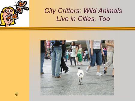 City Critters: Wild Animals Live in Cities, Too Charles Nilon, a biologist for the Kansas Department of Wildlife and Parks explains,Any animal that you.