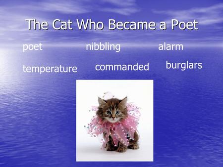 The Cat Who Became a Poet poetnibbling alarm temperature commanded burglars.