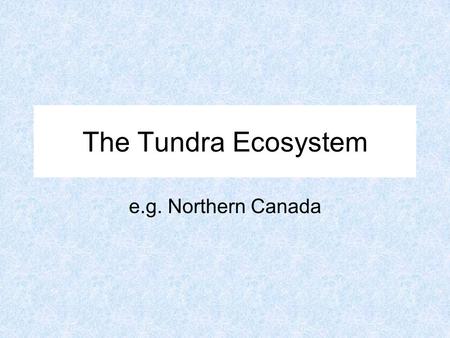 The Tundra Ecosystem e.g. Northern Canada.