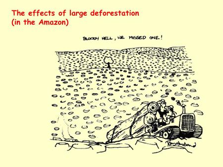 The effects of large deforestation (in the Amazon)