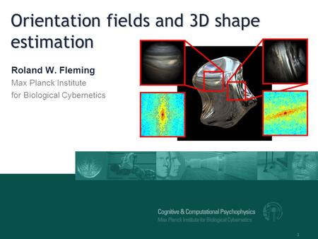 1 Orientation fields and 3D shape estimation Roland W. Fleming Max Planck Institute for Biological Cybernetics.