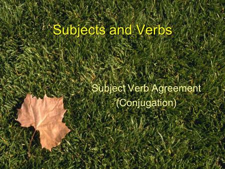 Subjects and Verbs Subject Verb Agreement (Conjugation)