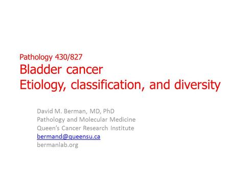 David M. Berman, MD, PhD Pathology and Molecular Medicine
