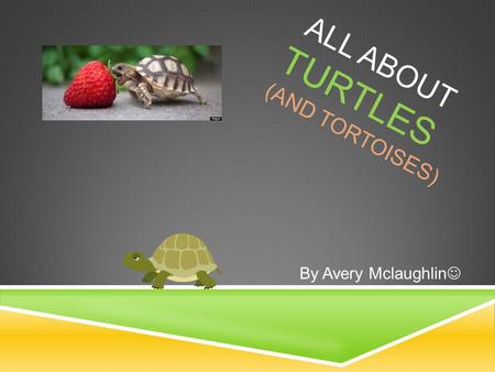 ALL ABOUT TURTLES (AND TORTOISES) By Avery Mclaughlin.