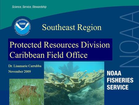 Protected Resources Division Caribbean Field Office Southeast Region Dr. Lisamarie Carrubba November 2009.