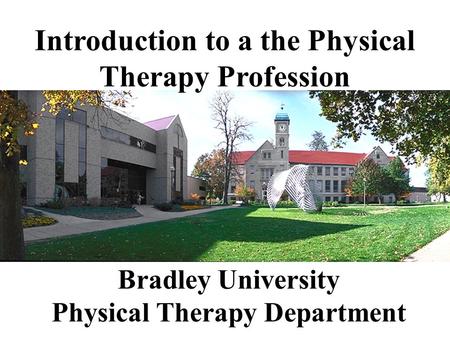 Bradley University Physical Therapy Department Introduction to a the Physical Therapy Profession.