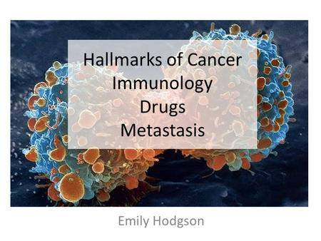 Emily Hodgson Hallmarks of Cancer Immunology Drugs Metastasis.
