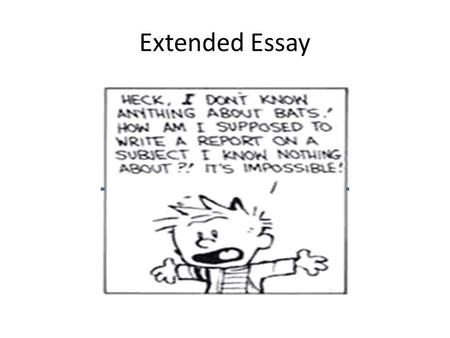 Extended Essay.