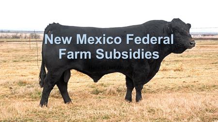 New Mexico Federal Farm Subsidies Hans Tucker Alsup.