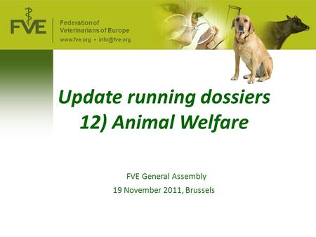 Update running dossiers 12) Animal Welfare FVE General Assembly 19 November 2011, Brussels Federation of Veterinarians of Europe